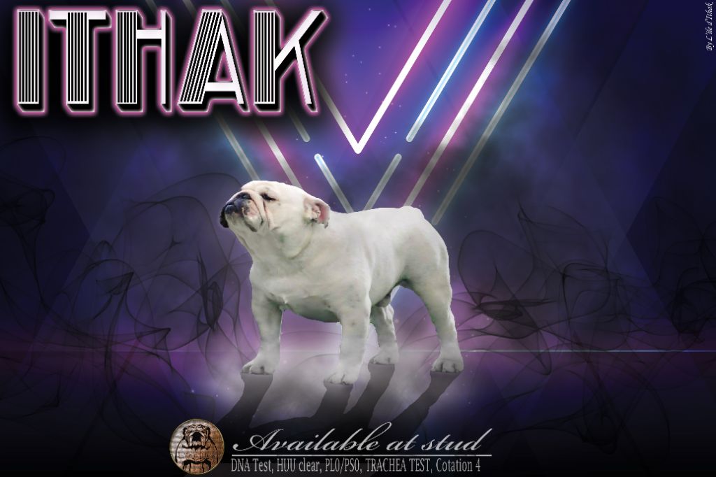 Ithak (Sans Affixe)